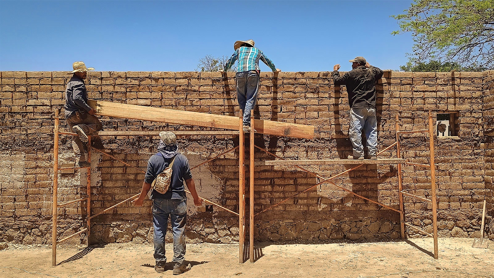 Four workers build a wall out of bricks made from the byproducts of tequila production.